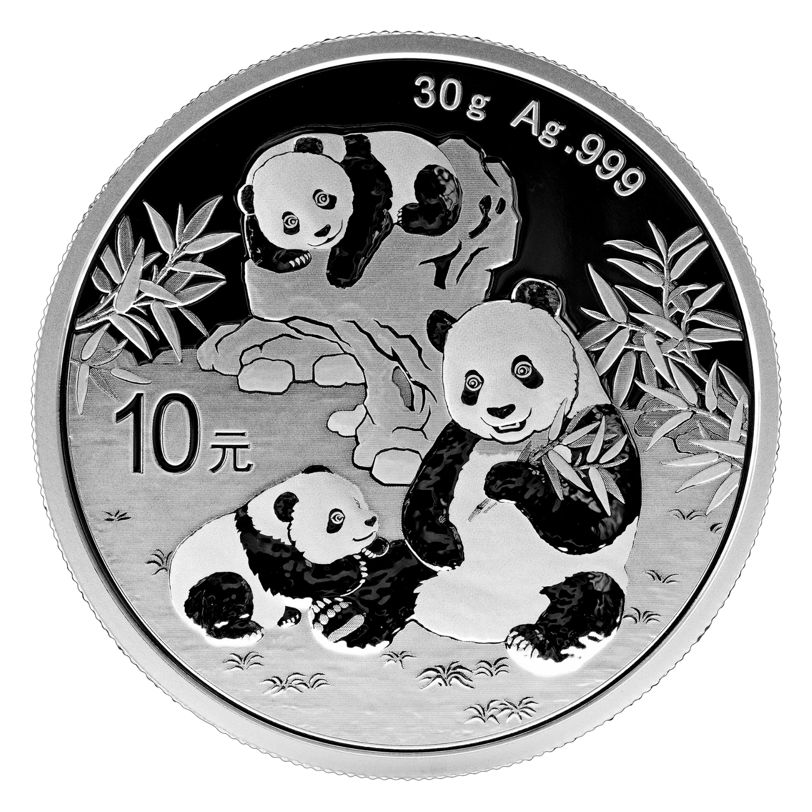 造幣局　純銀　年板　10枚　約70g 2025年30克熊貓銀幣| 民生錢幣PGcoin